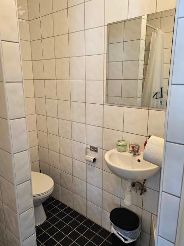 a bathroom with a toilet and a sink at Stora Ekeberg vandrarhem in Axvall