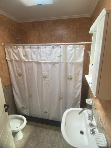 a bathroom with a shower curtain and a toilet at Apartamento de luxe centro in Chascomús