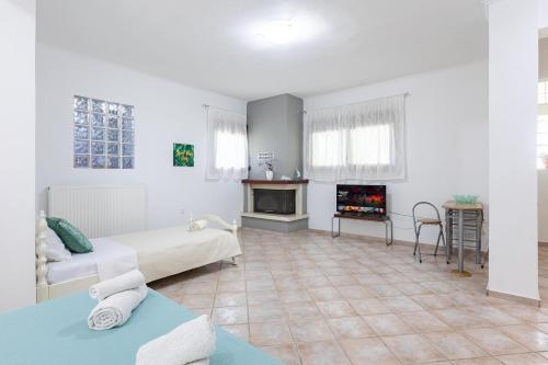 a living room with a couch and a fireplace at The Olympus Garden Beach House in Litochoro