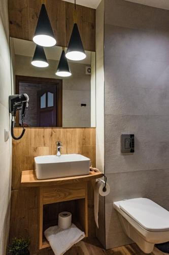 a bathroom with a sink and a toilet and a mirror at Leśne Apartamenty in Białka Tatrzanska
