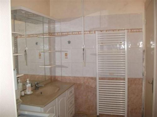 une salle de bain avec un lavabo et une douche dans l'établissement Ducos, à Agen