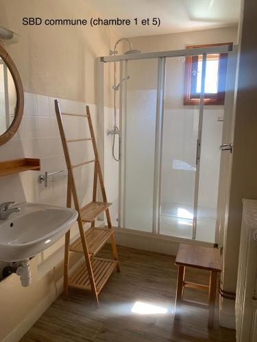 une salle de bain avec douche et lavabo dans l'établissement LE CHAMOIS, à La Poutuire
