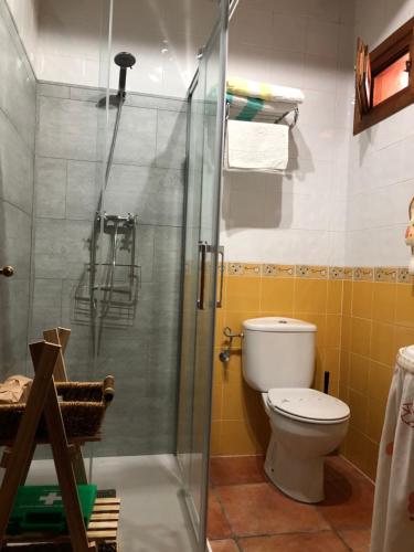 a bathroom with a toilet and a glass shower at Apartamentos Rurales CASONA DE LOLO in Caunedo