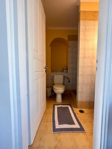 a bathroom with a toilet and a rug on the floor at Orange Grove Nafpaktos in Nafpaktos