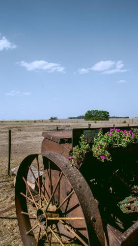 an old wagon wheel sitting next to some flowers at Inti, hospedaje de campo. in Bartolomé Mitre