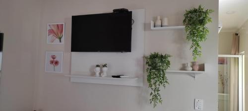 a television hanging on a wall with two plants at Hospedagem Quarto Chic centro Cunha in Cunha