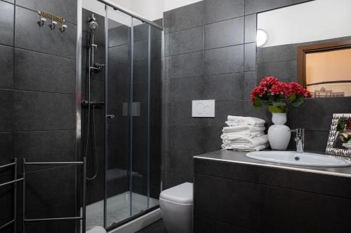 a bathroom with a shower and a toilet and a sink at Country Relais La Torretta Baronale in San Giorgio Montagna