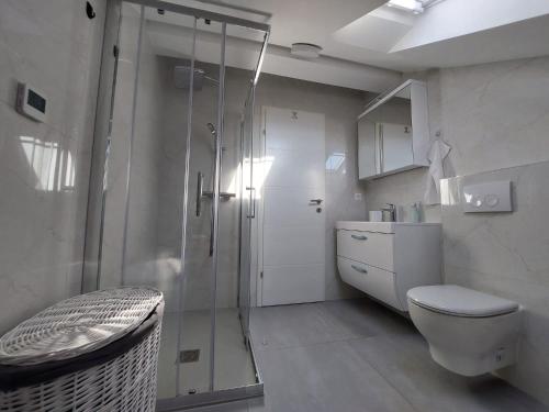 a bathroom with a shower and a toilet and a sink at Apartment Loft in Sinj