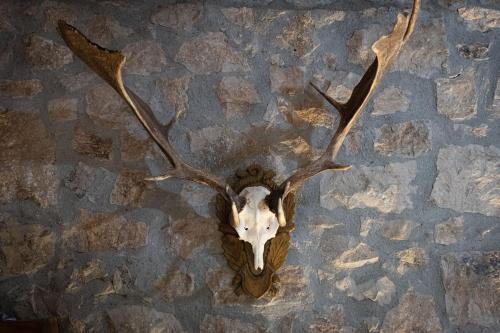 a deer skull with antlers hanging on a wall at Country Relais La Torretta Baronale in San Giorgio Montagna