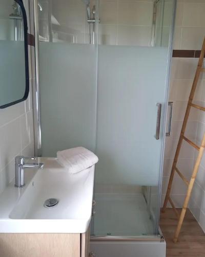 a bathroom with a shower and a sink and a toilet at L'écrin de Louise in Barry-dʼIslemade