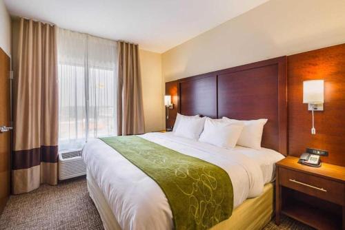 a hotel room with a large bed and a window at Comfort Suites Greenville South in Piedmont