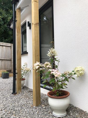 two potted plants sitting in front of a house at The Croft in Cowbridge