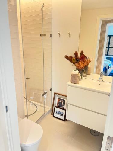 a bathroom with a shower and a toilet and a sink at Picasso Apartament in Tavira