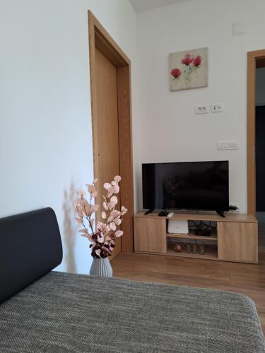 a bedroom with a television and a vase with flowers in a vase at Yulia Apartman in Pula