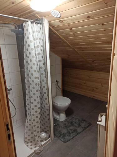 y baño con aseo y cortina de ducha. en Kwatera u Stasia, en Szczebrzeszyn
