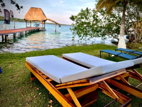 a bench sitting on the grass next to the water at Cabaña con muelle privado en la Laguna de Bacalar in Bacalar