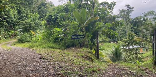 Casa Congo – Photos 2