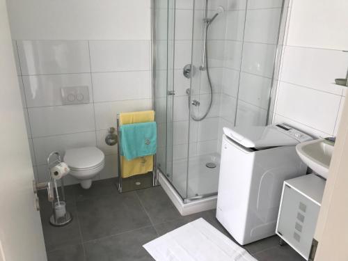 a bathroom with a shower and a toilet and a sink at Erholungszeit - Mein kleines Paradies in Bad Kreuznach