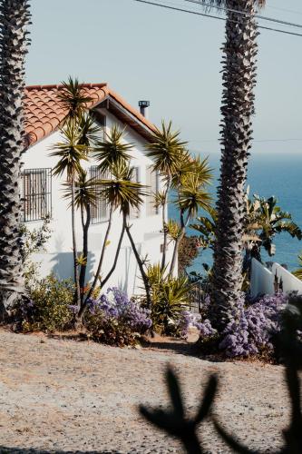 a white house with palm trees and the ocean at Su Casa in Ensenada