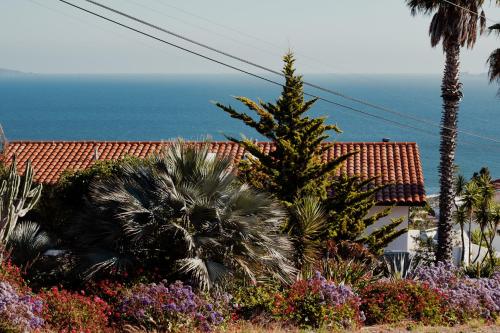 a garden with palm trees and flowers in front of a house at Su Casa in Ensenada