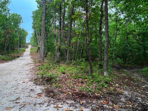 a dirt road in the middle of a forest at The Otter Box Cabin - 92 Acres Beside DeSoto State Park in Fort Payne