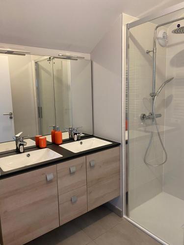 une salle de bain avec un lavabo et une douche dans l'établissement Le duplex Saint-Corentin - Hyper Centre - Parking Privé, à Quimper