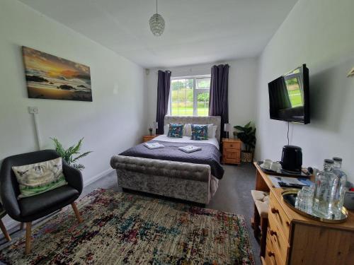 een woonkamer met een bank en een tv bij Cable Island Bed and Breakfast in Cork