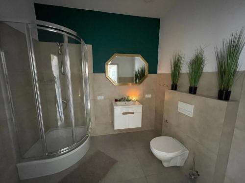 een badkamer met een douche, een toilet en een spiegel bij Apartament II w Centrum - Winda - 50 metrów od Starego Rynku in Kościerzyna