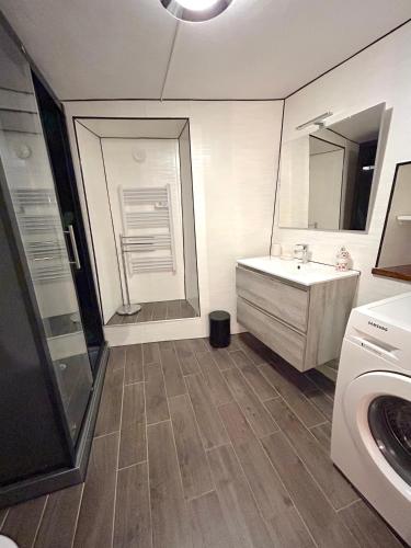 une salle de bain avec un lavabo et une douche dans l'établissement Charmante maison de montagne pour 8 personnes, à Livet-et-Gavet