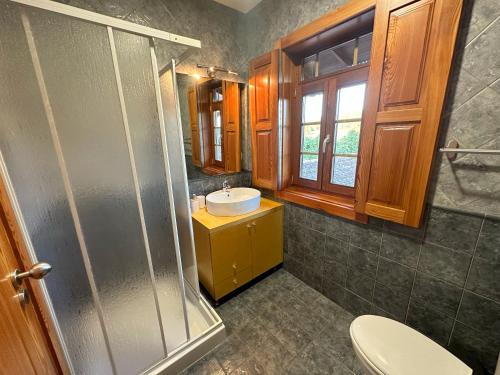 a bathroom with a sink and a shower and a toilet at São Jorge Country House in Penafiel