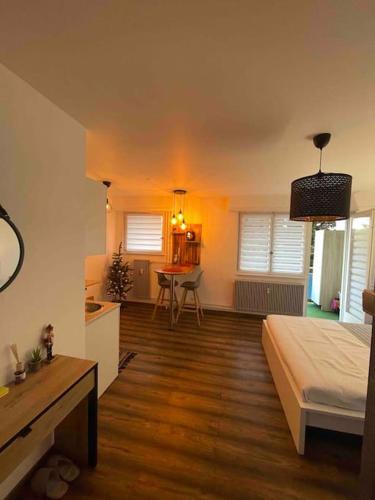 Grand Studio lumineux en plein de cœur de Strasbourg