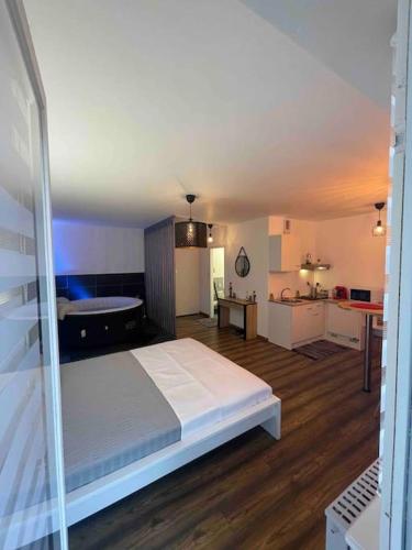 une chambre avec un grand lit dans une pièce dans l'établissement Grand Studio avec Jacuzzi, à Strasbourg