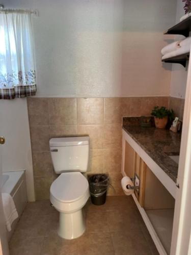 a bathroom with a white toilet and a sink at Rolling Brook Inn in Maggie Valley