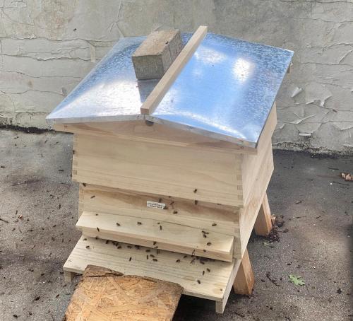 a wooden beehive with a glass top on top at Unique Orchard Lodge for couples with hot tub in Strathaven