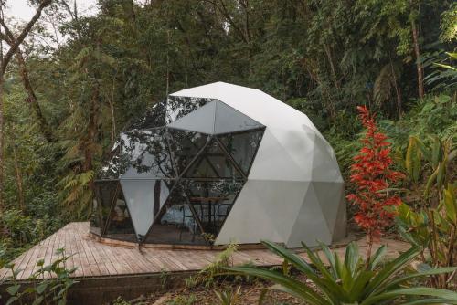 a tent in the middle of a forest at Terramia Estate in Minca