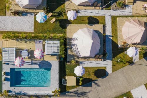 an overhead view of a swimming pool and umbrellas at Camp Jordan in Port Macquarie