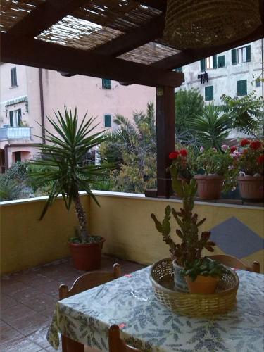 a table and chairs with potted plants on a balcony at Appartamenti Claudia Rio in Rio Marina