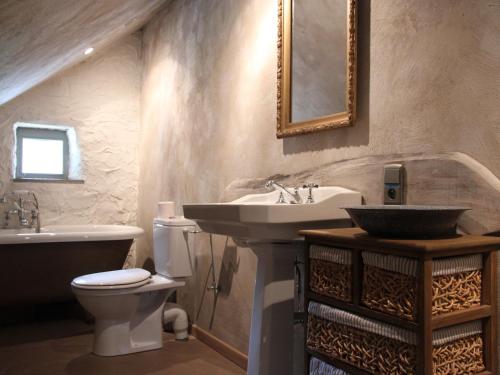 uma casa de banho com um lavatório, WC e um espelho. em Magnificent Manor in Vresse-Sur-Semois with Sauna em Vresse-sur-Semois