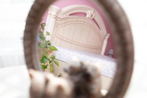 Fotografie z fotogalerie ubytování Апартаменти на Сихові, Драгана 1й ve Lvově