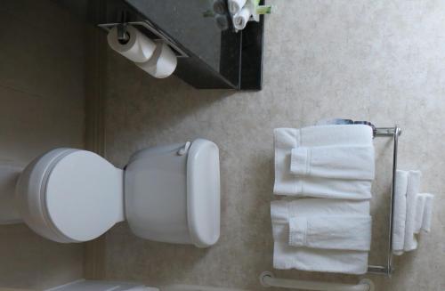 a bathroom with a toilet paper dispenser and towels at Holiday Inn Hotel & Suites Davenport by IHG in Davenport