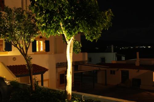 Gallery image of Theofilos Appartements in Livadi