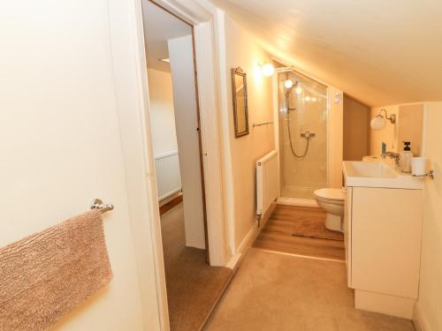 a bathroom with a white toilet and a sink at Green Farm Stables in Ashbourne