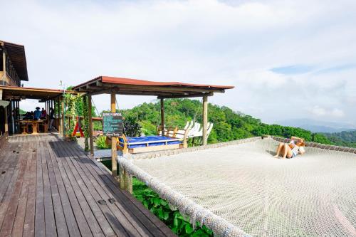 a couple of dogs laying on top of a roof at Hostal Sierra Minca in Minca