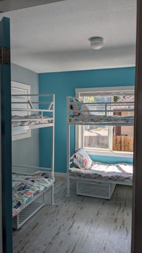 two bunk beds in a room with a window at Laughing Llama in Vernon