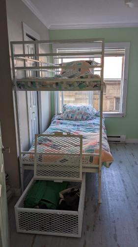 two bunk beds in a room with a window at Laughing Llama in Vernon