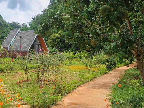 Un jardín fuera de Vườn An nhiên Mộc Châu