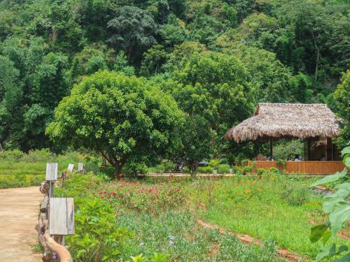 Un jardín fuera de Vườn An nhiên Mộc Châu