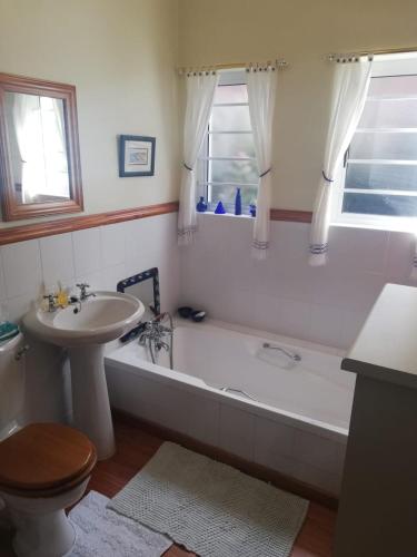 a bathroom with a tub and a sink and a toilet at OppiKrom Rivertide 36 in Kromriviermond