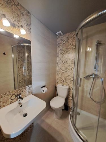 a bathroom with a toilet and a sink and a shower at Noclegi przy Lesie in Zakopane