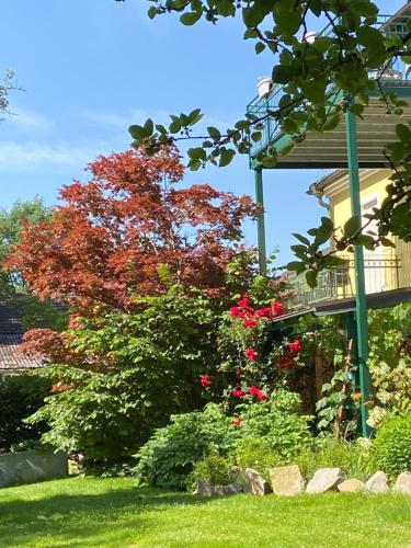 a tree with red flowers next to a house at Appartementhof Stadler in Pocking